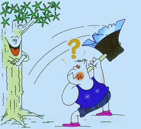 ĥ�����󿳲�