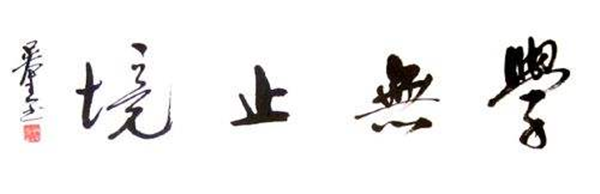 ��Ϊ����������IPD����