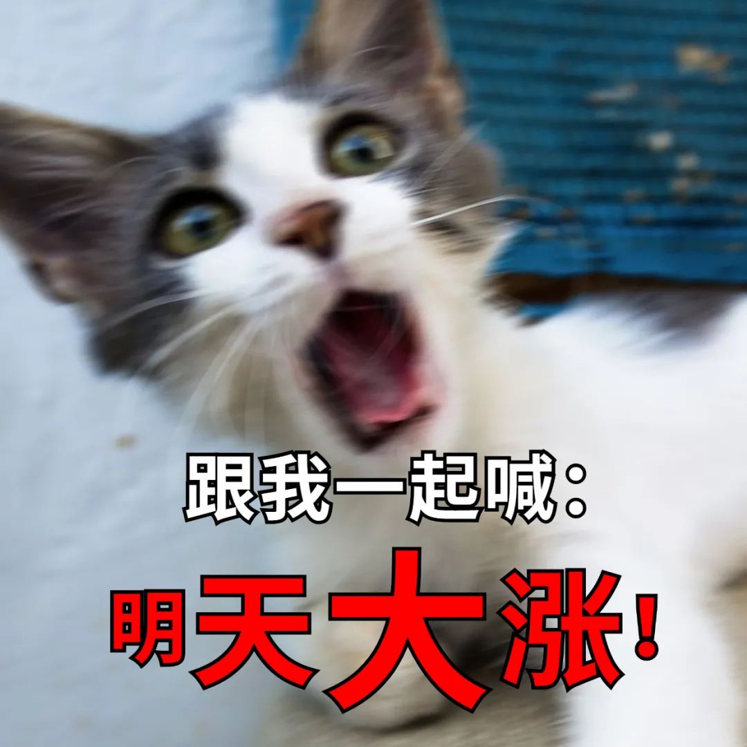 dcd2ab8ea428590f9e0e58cf4820c551.jpg dcd2ab8ea428590f9e0e58cf4820c551.jpg